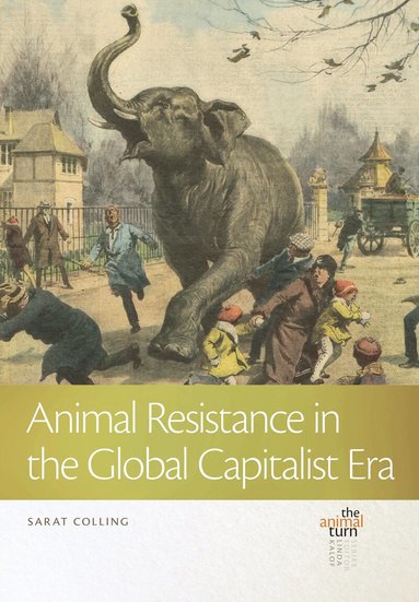 Sarat Colling - Animal Resistance in the Global Capitalist Era, Inbunden