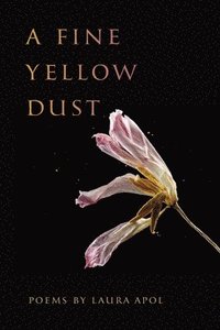 bokomslag Fine Yellow Dust