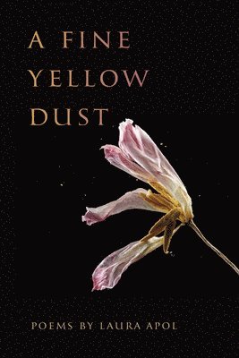 bokomslag Fine Yellow Dust