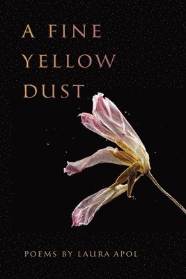 A Fine Yellow Dust 1