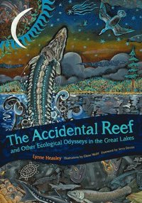 bokomslag Accidental Reef and Other Ecological Odysseys in the Great Lakes