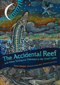 bokomslag The Accidental Reef and Other Ecological Odysseys in the Great Lakes