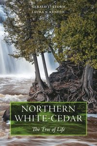 bokomslag Northern White-Cedar