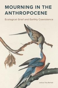 bokomslag Mourning in the Anthropocene