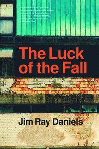 bokomslag Luck of the Fall