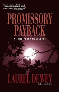 bokomslag Promissory Payback