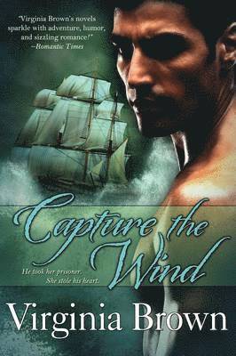 Capture The Wind 1