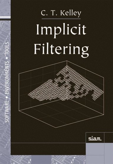 bokomslag Implicit Filtering