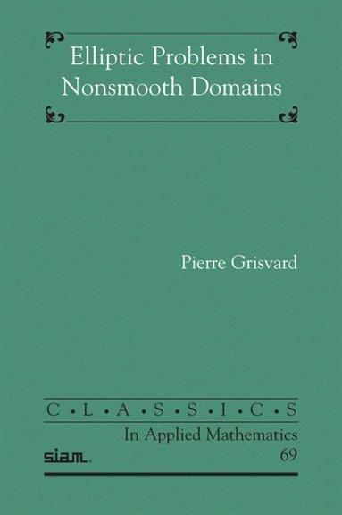 bokomslag Elliptic Problems in Nonsmooth Domains