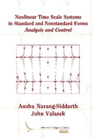 bokomslag Nonlinear Time Scale Systems in Standard and Nonstandard Forms