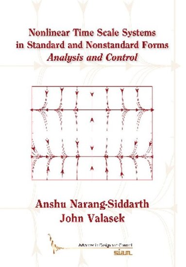 bokomslag Nonlinear Time Scale Systems in Standard and Nonstandard Forms: Analysis and Control
