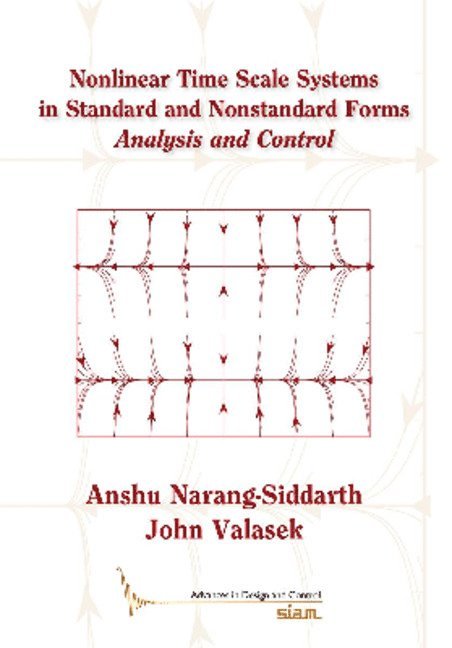 Nonlinear Time Scale Systems in Standard and Nonstandard Forms 1