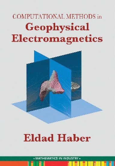 bokomslag Computational Methods in Geophysical Electromagnetics