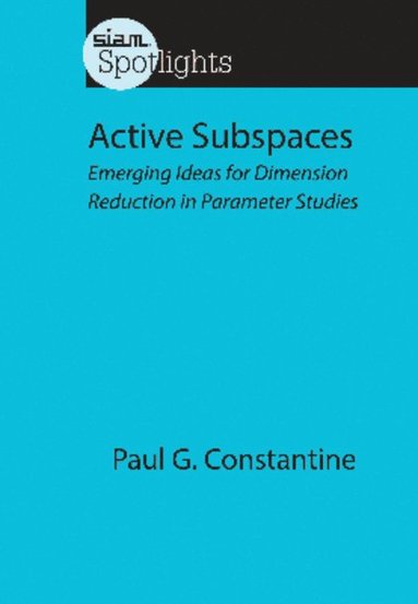 bokomslag Active Subspaces