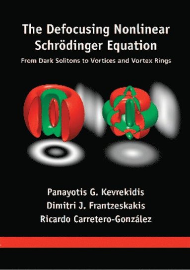 bokomslag Defocusing Nonlinear Schrödinger Equation