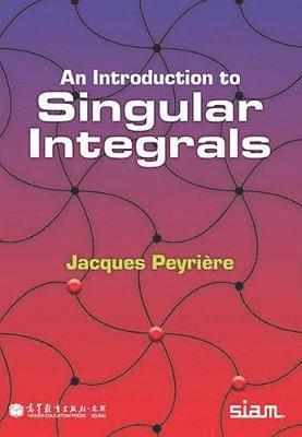 bokomslag Introduction to Singular Integrals