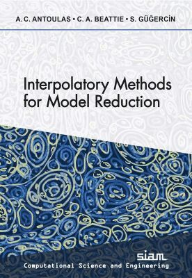 Athanasios C. Antoulas - Interpolatory Methods for Model Reduction, Häftad