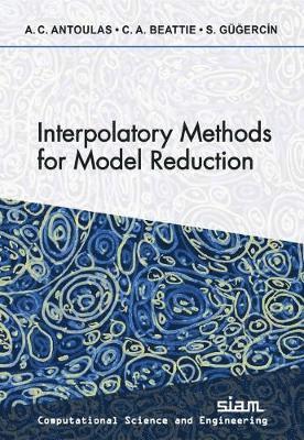 bokomslag Interpolatory Methods for Model Reduction