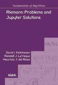 bokomslag Riemann Problems and Jupyter Solutions
