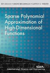 bokomslag Sparse Polynomial Approximation of High-Dimensional Functions