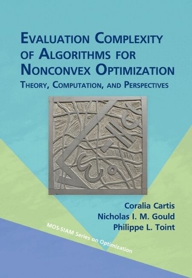 Coralia Cartis, Nicholas I. M. Gould, Philippe L. Toint - Evaluation Complexity of Algorithms for Nonconvex Optimization, Inbunden