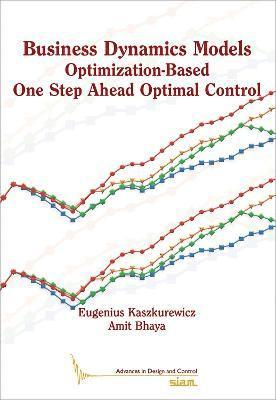 Eugenius Kaszkurewicz, Amit Bhaya - Business Dynamics Models, Häftad