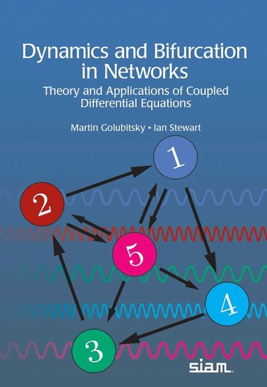 Martin Golubitsky, Ian Stewart - Dynamics and Bifurcation in Networks, Inbunden