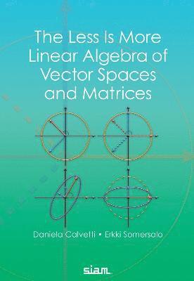 Daniela Calvetti, Erkki Somersalo - Less Is More Linear Algebra of Vector Spaces and Matrices, Häftad