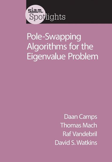 Daan Camps, Thomas Mach, Raf Vandebril, David S. Watkins - Pole-Swapping Algorithms for the Eigenvalue Problem, Häftad