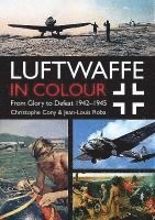 bokomslag Luftwaffe in Colour Volume 2