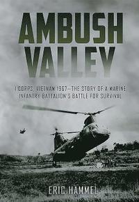 bokomslag Ambush Valley