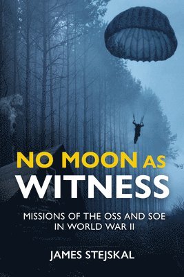 bokomslag No Moon as Witness