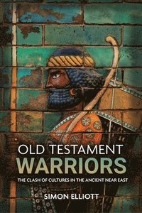 bokomslag Old Testament Warriors