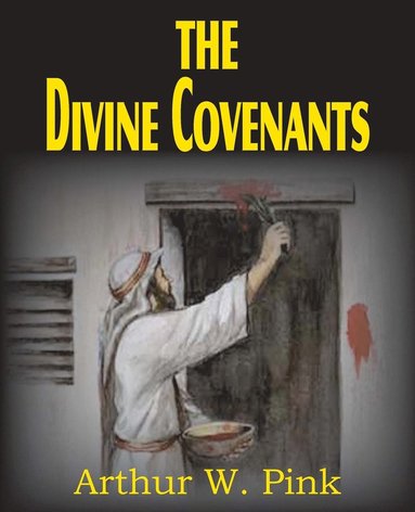 bokomslag The Divine Covenants