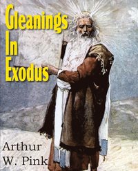 bokomslag Gleanings in Exodus