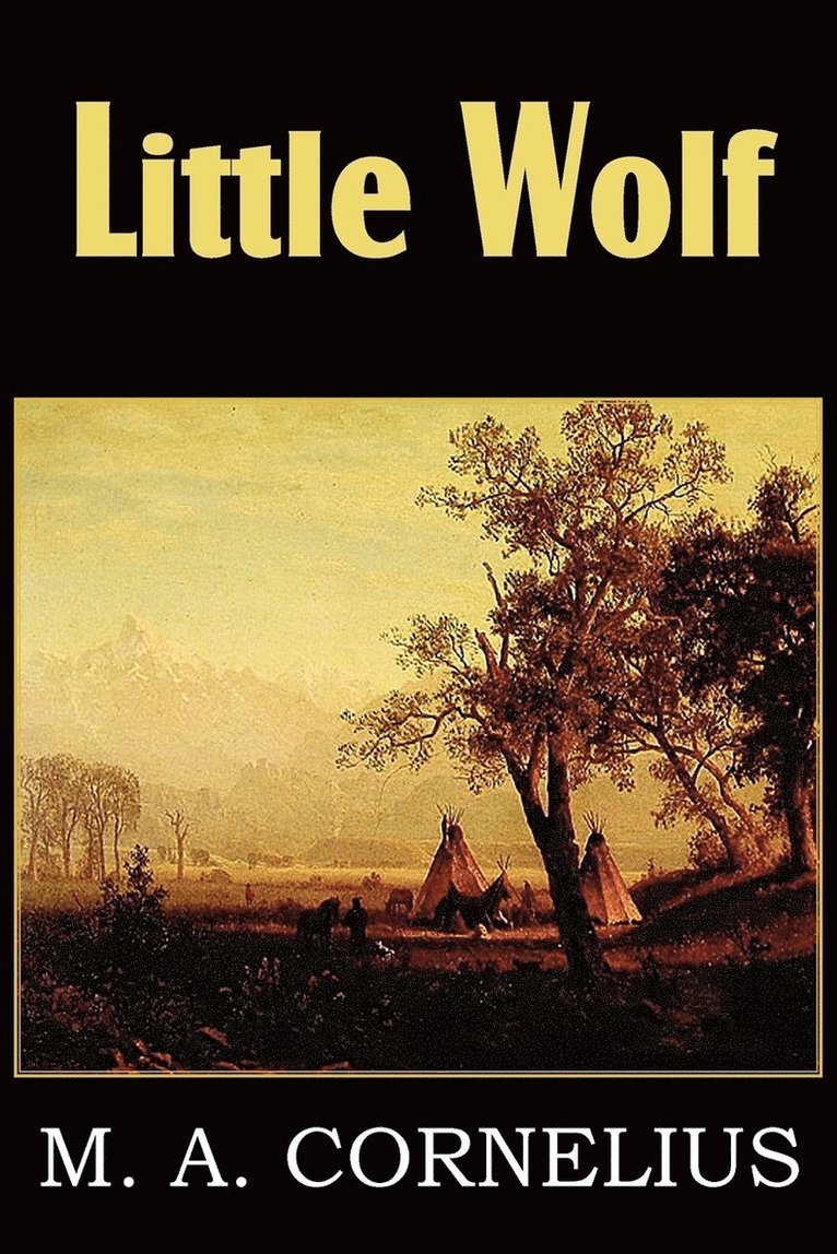 Mary Ann Mann Cornelius - Little Wolf, a Tale of the Western Frontier, Häftad