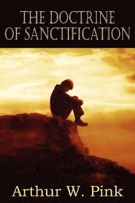 bokomslag The Doctrine of Sanctification