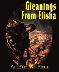 bokomslag Gleanings from Elisha, His Life and Miracles