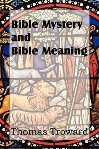 bokomslag Bible Mystery and Bible Meaning