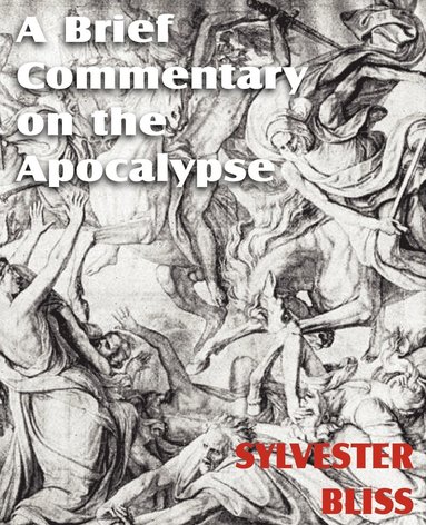 bokomslag Brief Commentary on the Apocalypse