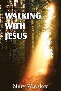 bokomslag Walking with Jesus