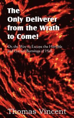 Thomas Vincent - Only Deliverer from the Wrath to Come! Or, the Way to Escape the Horrible and Eternal Burnings of Hell, Häftad