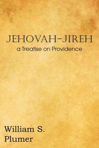 bokomslag Jehovah-Jireh a Treatise on Providence