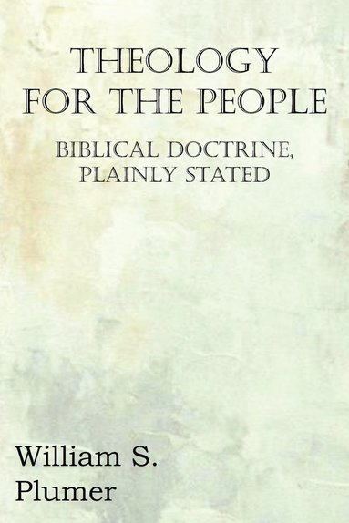 bokomslag Theology for the People