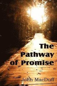 bokomslag The Pathway of Promise, Words of Comfort to the Christian Pilgrim