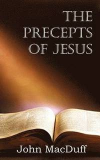 bokomslag The Precepts of Jesus