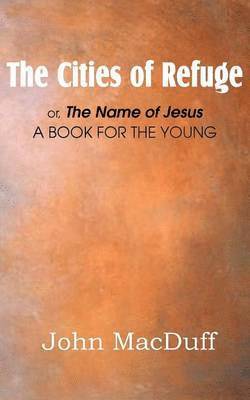 bokomslag Cities of Refuge