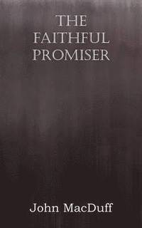 bokomslag Faithful Promiser