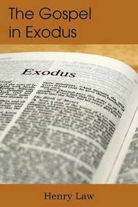 bokomslag The Gospel in Exodus
