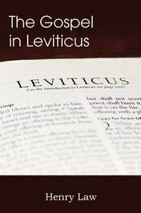 bokomslag The Gospel in Leviticus